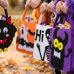 ハロウィン お菓子入れ キャンディーバッグ ギ...の詳細画像3