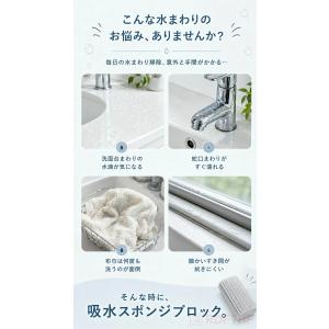ダンプダスター クリーンスポンジ 掃除用スポン...の詳細画像3