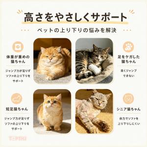 ペットステップ 犬 猫 用 階段 爪とぎ板一体...の詳細画像1