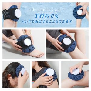 氷嚢 氷のう アイスバッグ アイシング バッグ...の詳細画像1