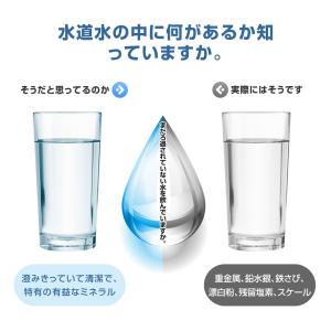 6/12個セット 浄水器用カートリッジ 互換品...の詳細画像4