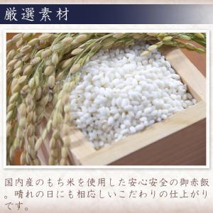 お中元 榮太樓 御赤飯 ごま塩付(お日保ちパッ...の詳細画像4