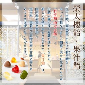 【ネコポス便・送料無料】敬老 七五三 榮太樓飴...の詳細画像1