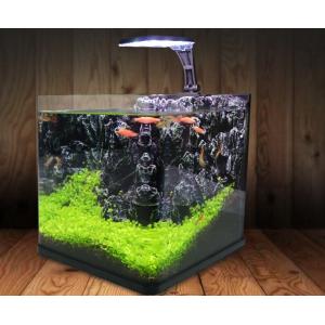 金魚 水槽 レイアウト その他生き物 生体 の商品一覧 生き物 生体 ペット用品 生き物 通販 Yahoo ショッピング