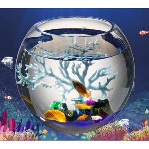 ミニ金魚鉢 生き物 生体 の商品一覧 ペット用品 生き物 通販 Yahoo ショッピング