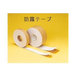 タイロン防露テープ　NT-05DB