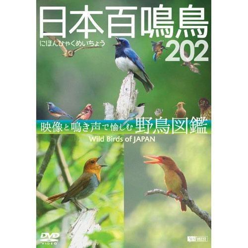 日本百鳴鳥202