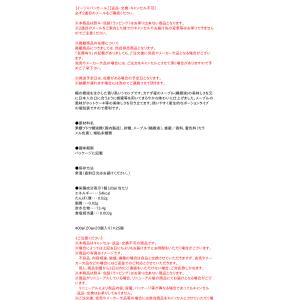 ★まとめ買い★ マリン メープルシロップ丸型2...の詳細画像2