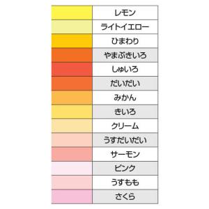 ニューカラー4切10枚うすもも【返品・交換・キ...の詳細画像1