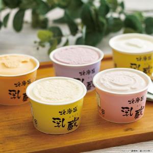 【送料無料】乳蔵　北海道アイスクリーム【ギフト館】｜ejapan