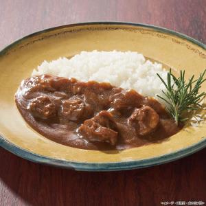 【送料無料】大西食品　黒毛和牛カレー【ギフト館】