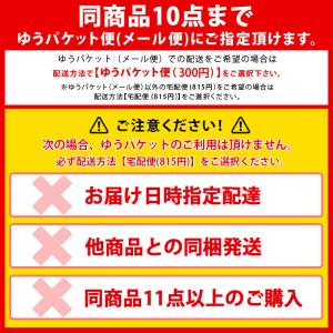 KARCHER ケルヒャー トリガーガン用 留...の詳細画像2
