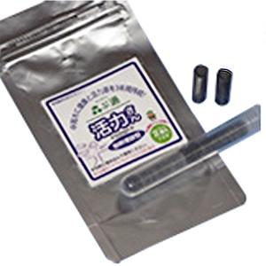 活力さん1袋 （2個入り） 樹木新理論の商品画像