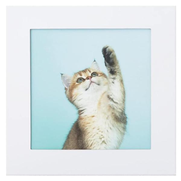 まいにち マイレット アートトワレ ねこ 非常用トイレセット 5回分 飾れる 備蓄トイレ 防災 AT...