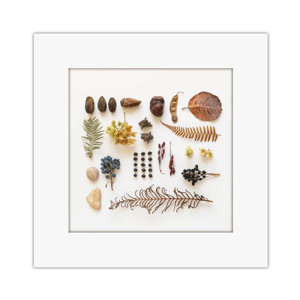 まいにち マイレット アートトワレ ネイチャークラフト 非常用トイレセット 5回分 飾れる 備蓄トイ...