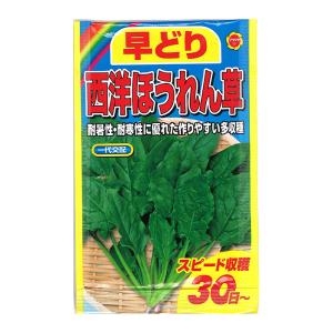 アタリヤ 早どり西洋ほうれん草 対応 10個まで の最安値 価格比較 送料無料検索 Yahoo ショッピング