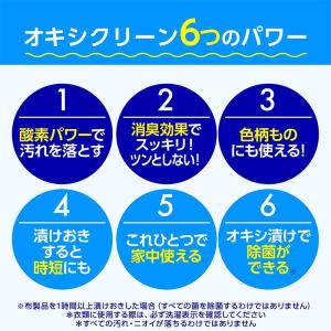 オキシクリーン 500g 4582107955606の詳細画像2