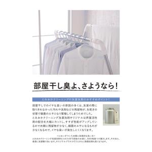 とみおかクリーニング プラス 粉末洗濯洗剤 詰...の詳細画像1