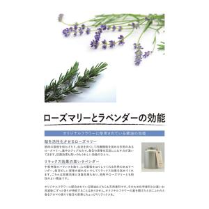 とみおかクリーニング フラワー 粉末洗濯洗剤 ...の詳細画像1