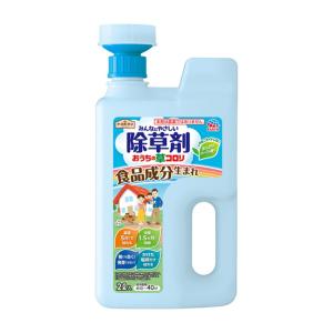 アース製薬 みんなにやさしい除草剤 おうちの草コロリ ジョウロヘッド2L｜ejoy