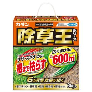 フマキラー 除草剤 カダン 除草王 オールキラー...の商品画像
