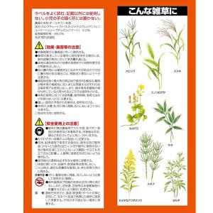 フマキラー 除草剤 カダン 除草王 オールキラ...の詳細画像2