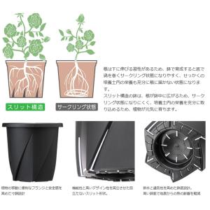 大和プラスチック 根はりポット 9型 ダークグ...の詳細画像1