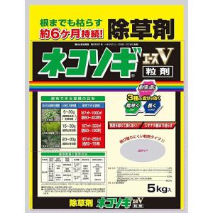 ネコソギエースV粒状 5kg レインボー薬品【GS】