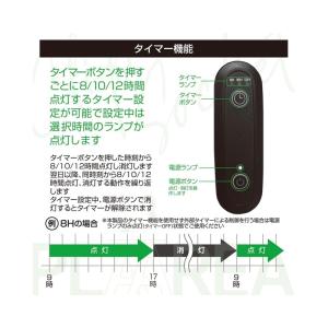 ゼンスイ プラエリア スタンドソケット BLA...の詳細画像2