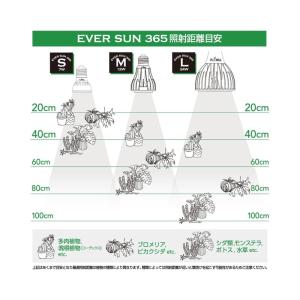 ゼンスイ EVER SUN 365 7W 昼白...の詳細画像2