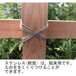 ダイドーハント ステンレス線 軟質 ワイヤー ...の詳細画像1