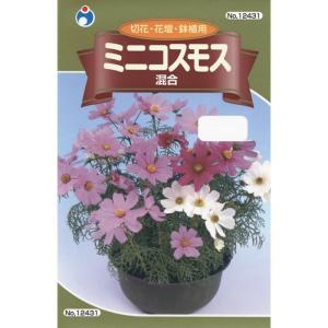 ウタネ ミニコスモス混合 メール便対応 4962484124312