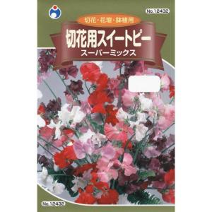 ウタネ 切花スイートピーミックス メール便対応 4962484124329