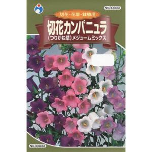 カンパニュラ 苗の商品一覧 通販 Yahoo ショッピング