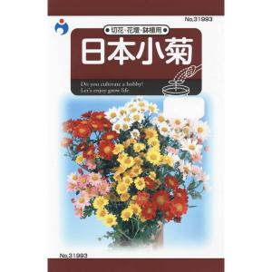 ウタネ 日本小菊 メール便対応 4962484319930