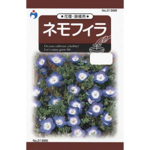 ネモフィラ 苗 花 ガーデニング の商品一覧 通販 Yahoo ショッピング