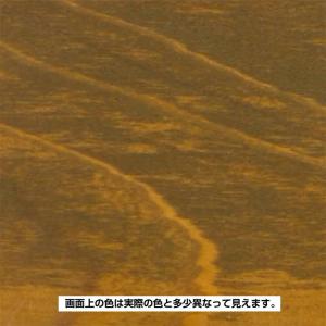 和信ペイント Easy Varnish イージ...の詳細画像1