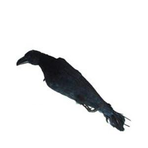 鳥野のカラス 鳥追い カラスのカー子 1000ガウス磁石付 4965815438904 : ejoy Yahoo