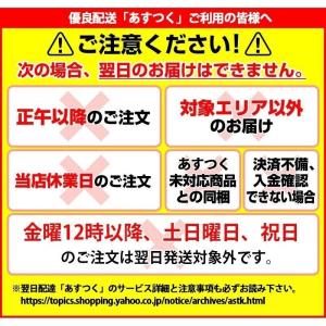 OKスライド網戸 Lサイズ S3-ST-L 川...の詳細画像1