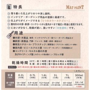 カンペハピオ マットペイントスプレー 300m...の詳細画像2