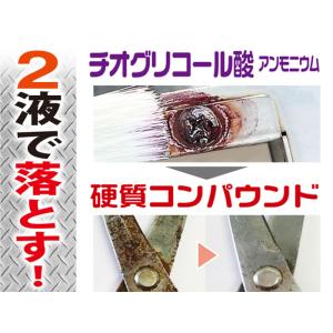 プロスタッフ WS 強力錆取りキット 刃物 ネ...の詳細画像1