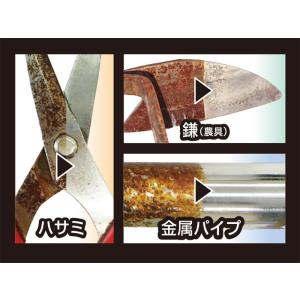 プロスタッフ WS 強力錆取りキット 刃物 ネ...の詳細画像3