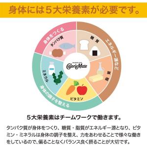 【3個セット】大塚製薬 カロリーメイト ブロッ...の詳細画像1