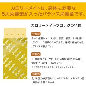 【3個セット】大塚製薬 カロリーメイト ブロッ...の詳細画像2
