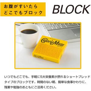 【3個セット】大塚製薬 カロリーメイト ブロッ...の詳細画像4