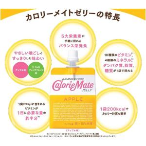 【24個セット】大塚製薬 カロリーメイト ゼリ...の詳細画像1