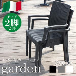 ガーデンチェアー 2脚セット 肘付き イス リゾ...の商品画像