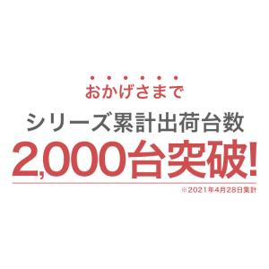 ゴミ箱 屋外 ダストボックス 収納ボックス ス...の詳細画像4