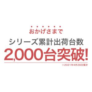 ゴミ箱 屋外 収納 190L ふた付き ベンチ...の詳細画像3