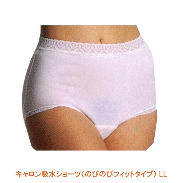 キャロン吸水ショーツ （のびのびフィットタイプ） LL 片倉工業 介護用品